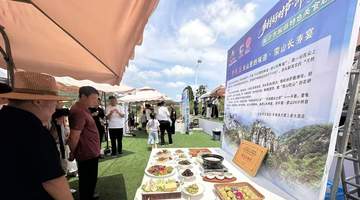 以沂蒙味道为钥,解锁“美食+文旅”融合新路径