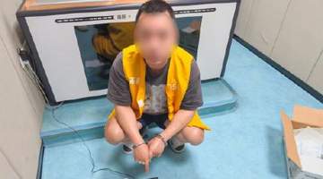 男子跨省售12件象牙制品 警方深挖背后犯罪链条