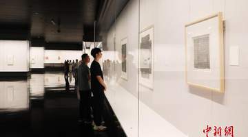 7月23日来郑州 沉浸式参与“字里千秋·今古通脉”书法艺术展还有超多互动体验