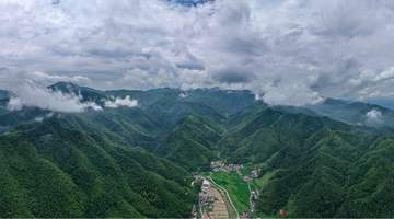 江西芦溪窑下村 夏日晨雾里的山居诗意引得人沉醉