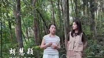 来景德镇手工瓷业遗存 解锁泥土与火焰里的文化体验