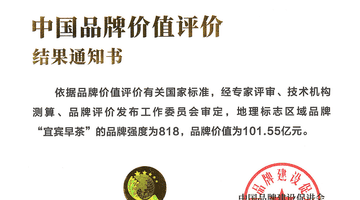 宜宾早茶的多元活动与品质体验 助推品牌价值突破101.55亿