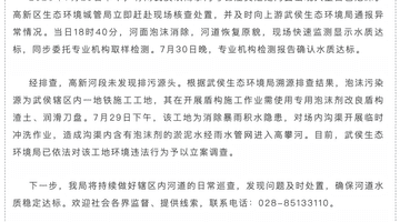 成都高攀河河面曾现大量白色泡沫 市民可关注监测后续进展 涉事地铁施工工地已被立案调查