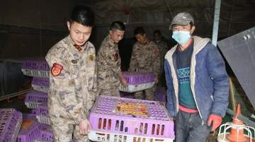八一特稿丨榕江脊梁坡见证军民同心 各地暖心拥军绘就双向奔赴