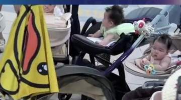 上海这群小宝宝趴地练抬头，婴儿车围出圈成“婴语角”，模样软萌惹人爱