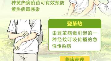 暑期跨境游升温 跟着口岸疾控指导做好多元活动中的防护体验