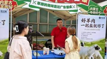 内蒙古苏尼特羊肉亮相广东展销会 一把盐煮出草原鲜引市民尝鲜