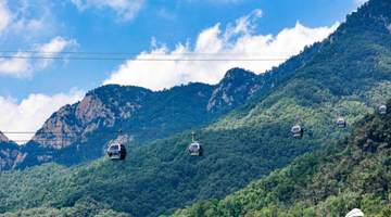 三伏登泰山 邀亲友赴一场翠林云海清凉之约 亲测山间全景揽尽山河壮阔