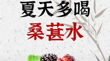 夏日参与养生搭配：8款桑葚水组合适配多元需求 让忙碌与湿气重人群喝出好感