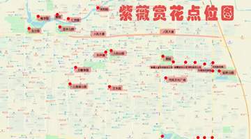 来安阳解锁紫薇花盛景 这些多元赏花点邀你沉浸式体验