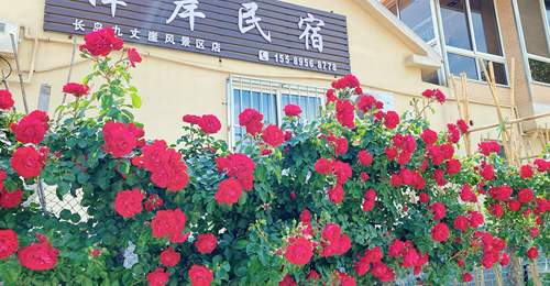 烟台长岛核心景区住宿:步行到九丈崖、月牙湾的民宿实测