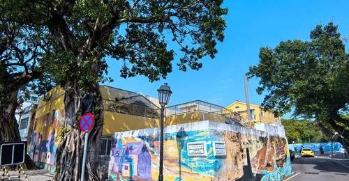 仲春澳门行 跟着本地人的脚步逛遍路环多元趣味体验
