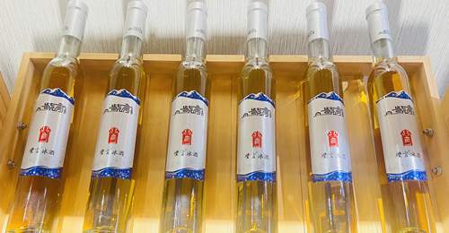 喝到的冰酒为何这般特别?来紫言酒庄看看山葡萄酿造的全过程