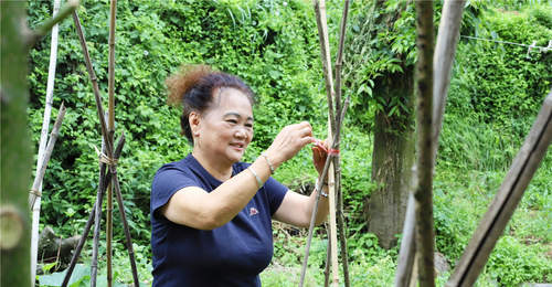 乌当避暑季多元活动引客来 旅居生活成游客长期安居新选择