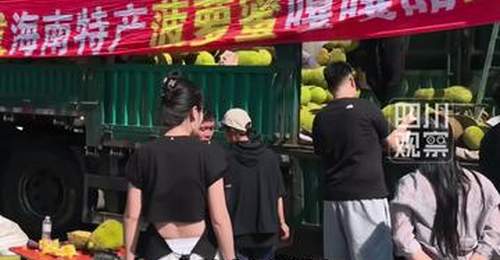哈尔滨全城追菠萝蜜