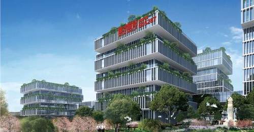 沙特红海项目中标落地,德才股份海外项目再添新单