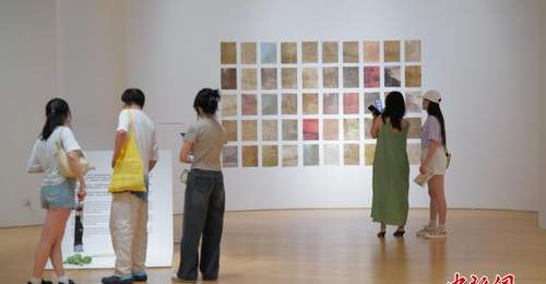 法国艺术家蕾雅·哈布尔丁西南地区首场个展在蓉启幕