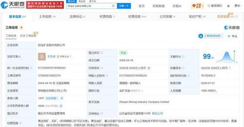 王乐译任招金矿业董事长