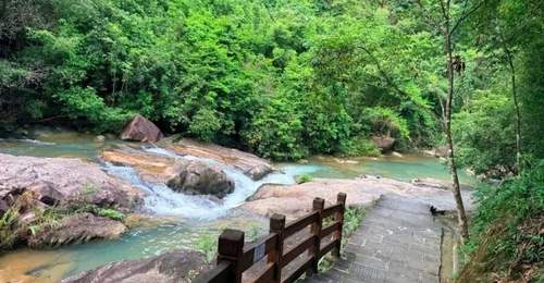 这个夏天,来广州这些公园,在溯溪嬉水中驱散盛夏暑气吧~