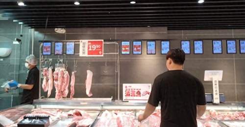 猪价反弹20%重回“10元时代”,上市猪企仍在亏损,行业反转还有多远?