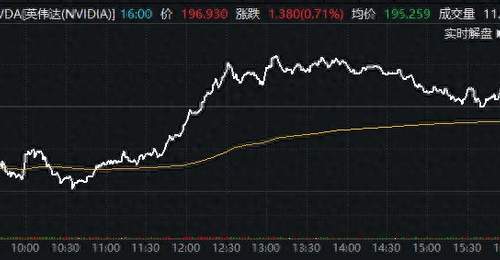 沉睡巨人正在苏醒？英伟达逆势抗跌 看涨期权酝酿“大干一场”