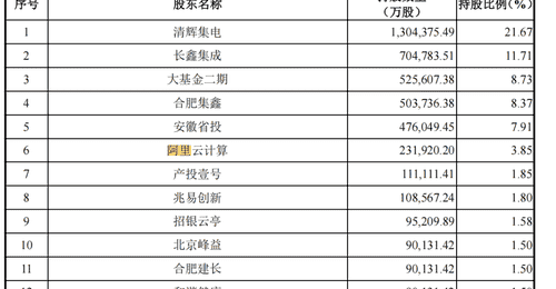 持股比朱一明还多,Ta凭啥能重仓长鑫科技?
