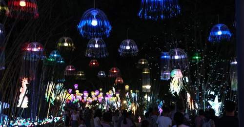 “南宁夜花园”活动暑期引客夜游 千亩光影区亮灯开放