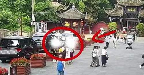 成都青城山“野路子”带客逃票团伙落网，警方揭露“省钱攻略”实为违法行为