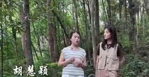 来景德镇手工瓷业遗存 解锁泥土与火焰里的文化体验