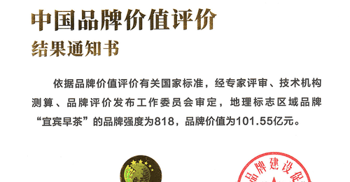 宜宾早茶的多元活动与品质体验 助推品牌价值突破101.55亿