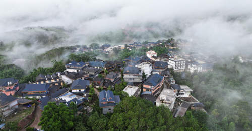 走进云南景洪基诺山 参与雨林徒步游体验多元乡村休闲乐趣