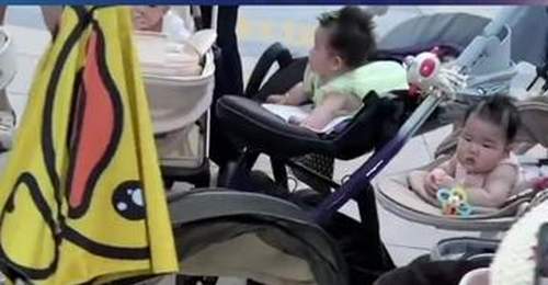 上海这群小宝宝趴地练抬头,婴儿车围出圈成“婴语角”,模样软萌惹人爱