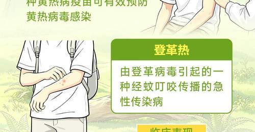 暑期跨境游升温 跟着口岸疾控指导做好多元活动中的防护体验