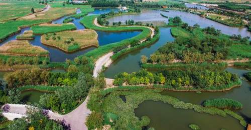 在潍河、马踏湖、李村河的多元治理中 山东河湖焕新带动村民与市民共享生态福利