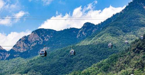 三伏登泰山 邀亲友赴一场翠林云海清凉之约 亲测山间全景揽尽山河壮阔