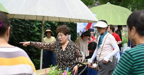 胡同里的“莫奈花园”变身社区多彩据点 14个民族居民携手种花唠家常解纠纷
