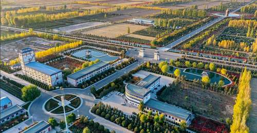 民乐县滨河九粮液回厂游常态化开启 工业酿造全链条沉浸式体验解锁文旅新玩法