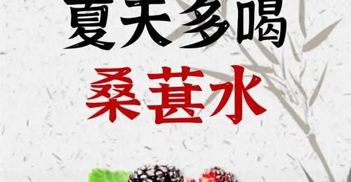 夏日参与养生搭配：8款桑葚水组合适配多元需求 让忙碌与湿气重人群喝出好感