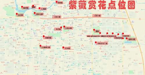 来安阳解锁紫薇花盛景 这些多元赏花点邀你沉浸式体验