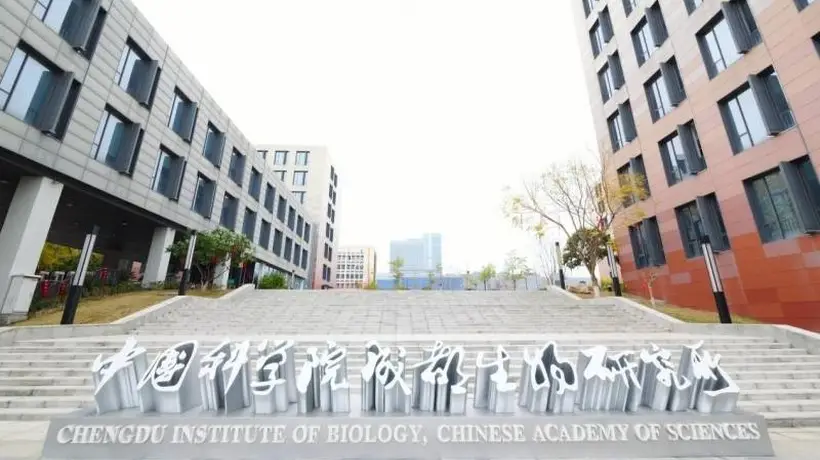 53°酱酒主流标准下,荣魁为何坚守55°高度赛道?