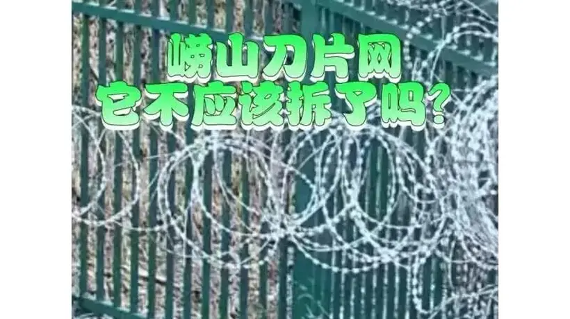 崂山被曝布设泰山同款“刀片网”,当地独家回应