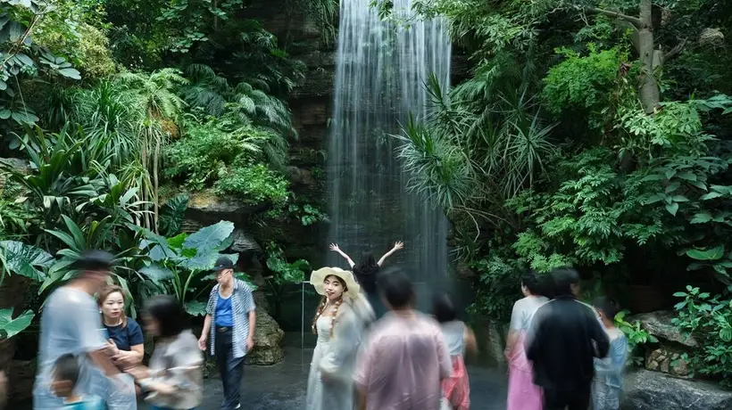 太原植物园清凉游玩攻略,避暑出片两不误!