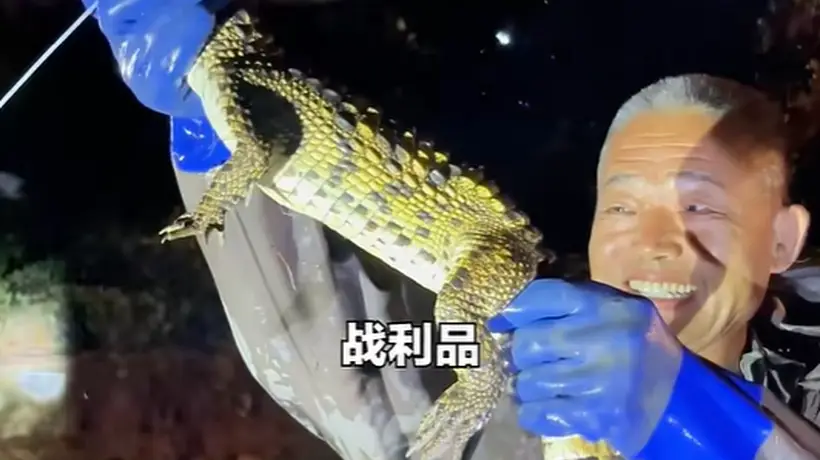 天津一小区人工湖出现鳄鱼,当地通报:已捕获1条暹罗鳄