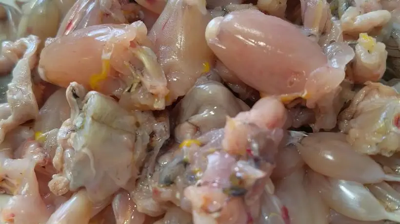 跟着吕文扬解锁蜜豆咸肉咸甜平衡小炒 逛市集选嫩豆尝手工家常鲜