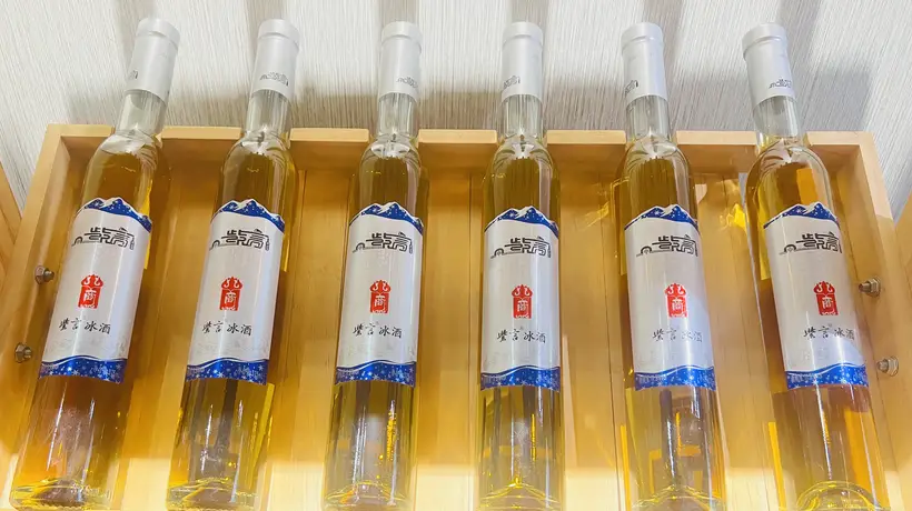 喝到的冰酒为何这般特别？来紫言酒庄看看山葡萄酿造的全过程