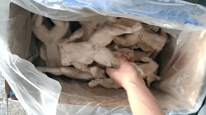 吃牛蛙也能享安心！这些地方还推出夜间抽检让消费者吃得放心
