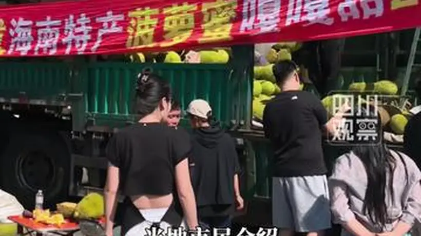 哈尔滨全城追菠萝蜜