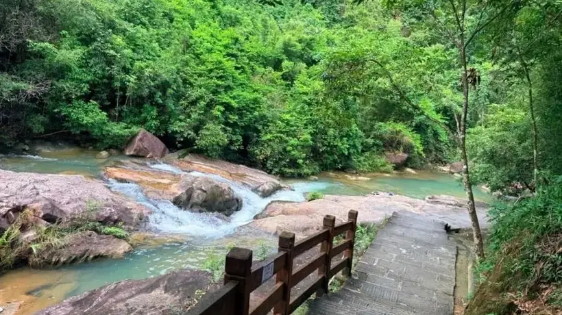 这个夏天，来广州这些公园，在溯溪嬉水中驱散盛夏暑气吧~