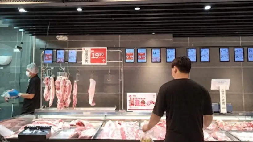 猪价反弹20%重回“10元时代”,上市猪企仍在亏损,行业反转还有多远?