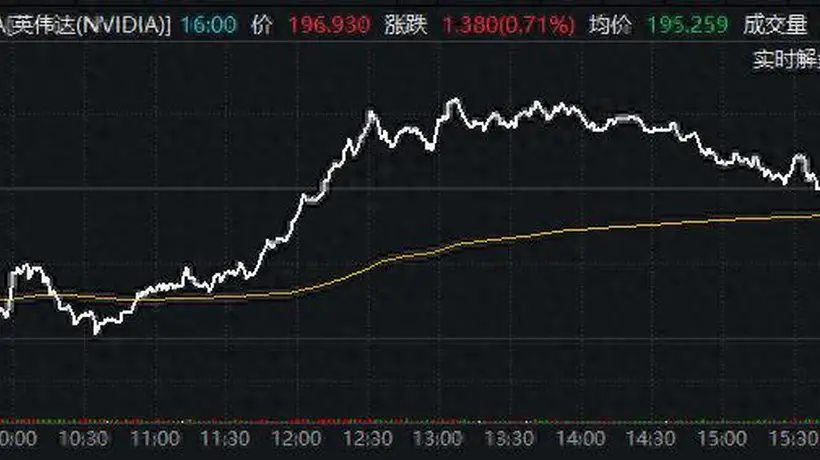 沉睡巨人正在苏醒?英伟达逆势抗跌 看涨期权酝酿“大干一场”